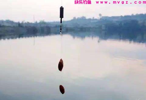 四季垂钓饵料，鲫鲤草鳊通用饵