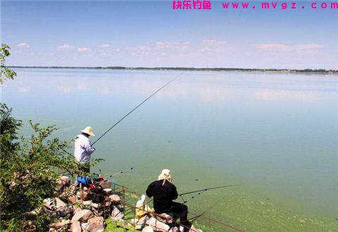 有实用的土方法，让你钓鲫鱼不劳心