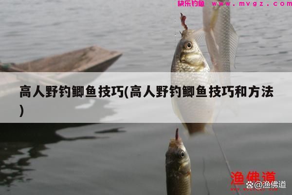 高人野钓鲫鱼技巧(高人野钓鲫鱼技巧和方法