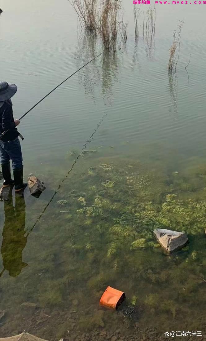 春季钓鲫绝佳钓位在这里