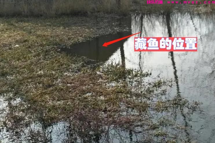 春季垂钓鲫鱼，并不是难事！四个步骤轻松钓