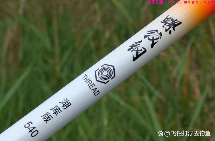 如何选择一根适合自己的台钓鱼竿