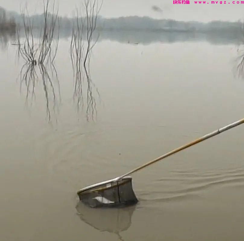 冬季钓鲫鱼的注意事项