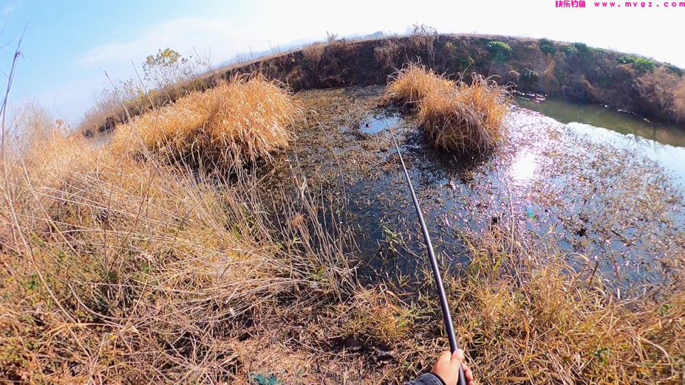 别人浅水连杆，你却深水没口，符合这些情况