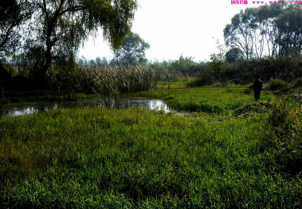 冬季钓获鲫鱼的4个诀窍，照着做，大板鲫钓