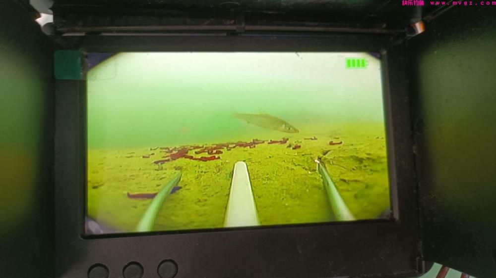 冬季野钓经常空军？其实不是资源差，捅破这