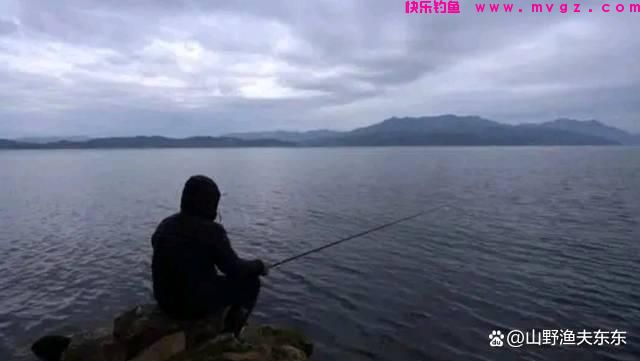 深秋钓鲫鱼，学会这些方法和技巧，上鱼效果