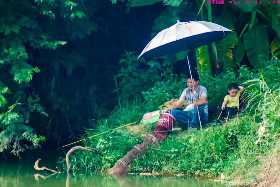 盛夏季节如何钓鲫鱼？注意这三点就够了，大板鲫并不难钓