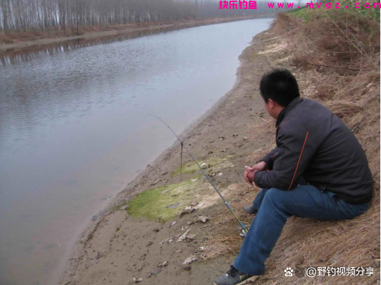 春季钓鲫必须知道的“5大核心技巧”，学会