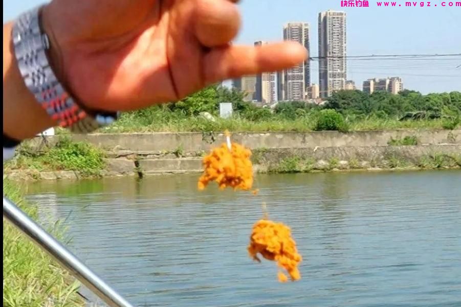 春天不要只钓鲫鱼，试试这鲢鳙钓法，中鱼率