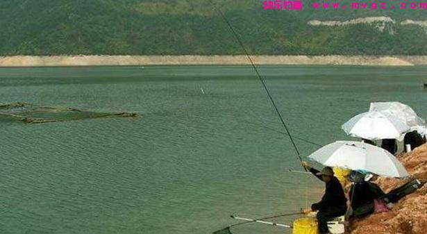 春钓鲫鱼千万不要一到水边就下钓，这“3”