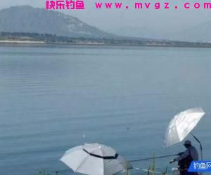 春季钓鱼怎样选择钓位？这三个问题要分清先