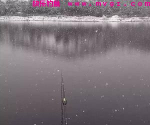 寒冬季节几种钓鲫鱼的技巧