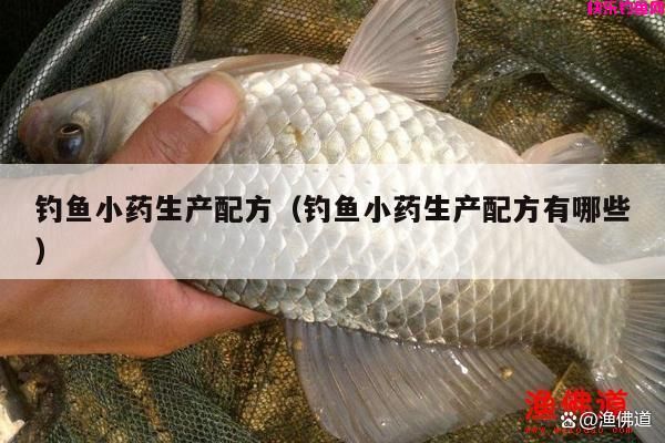 钓鱼小药生产配方（钓鱼小药生产配方有哪些