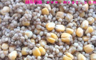 自制钓草鱼饵料发酵玉米粒麦粒配方