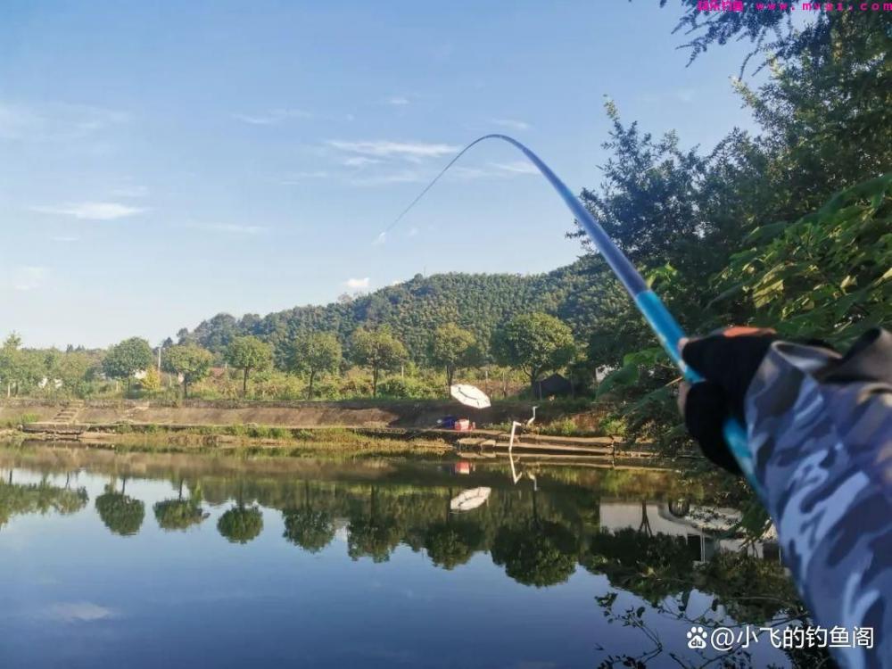 钓草鱼这2种方法才狠！黑坑盘老板必备的技