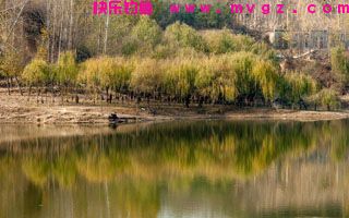 初秋野钓草鲤鲫鱼的饵料应对技巧