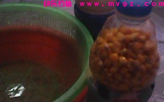 自制野钓大鲤鱼草鱼用曲酒蜂蜜玉米粒