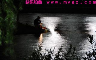 夜战水库钓鲤鱼、草鱼的饵料配方