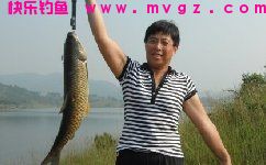 钓鱼老者自制糟食发酵钓草鱼饵料配方