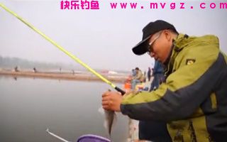 用来钓大草鱼的10款纯天然饵料