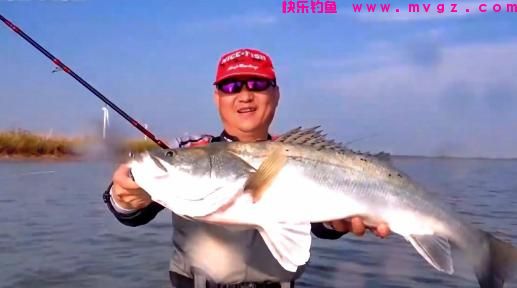 冬季该怎么钓草鱼