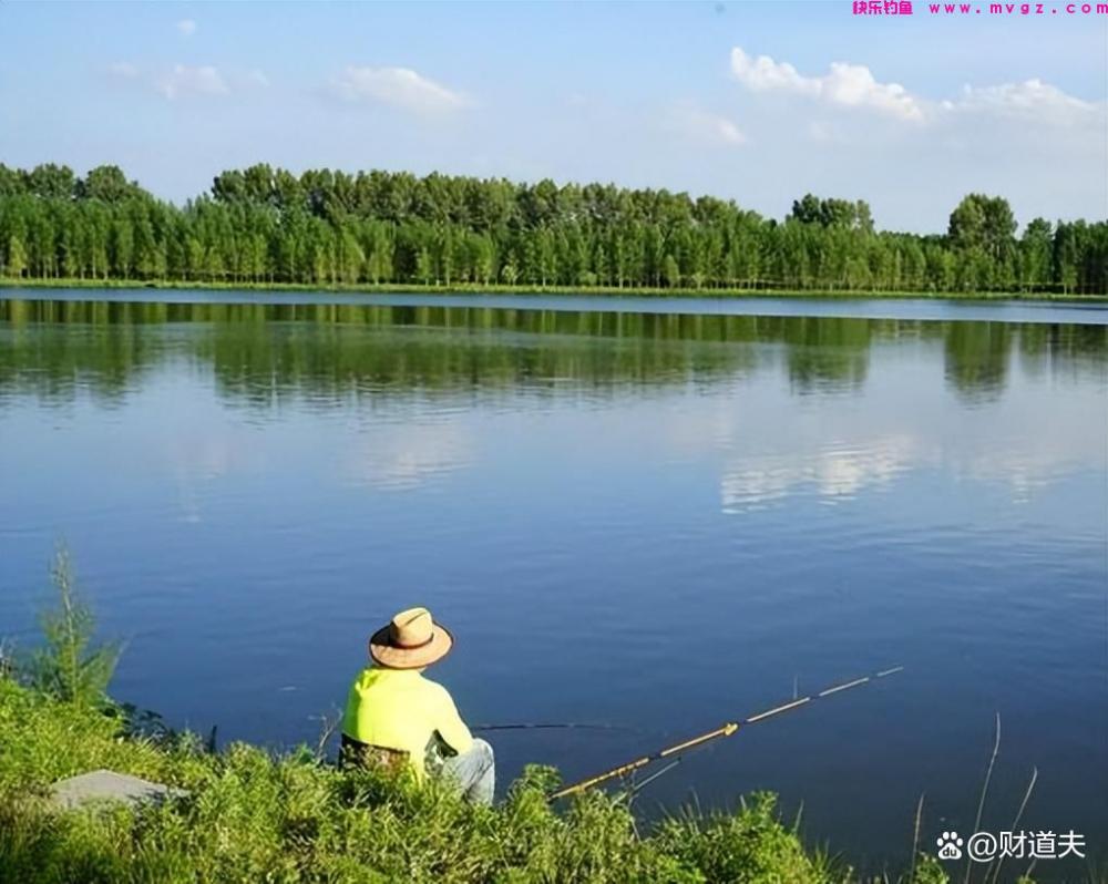 五月份钓草鱼，想要渔获好，这几点事项千万