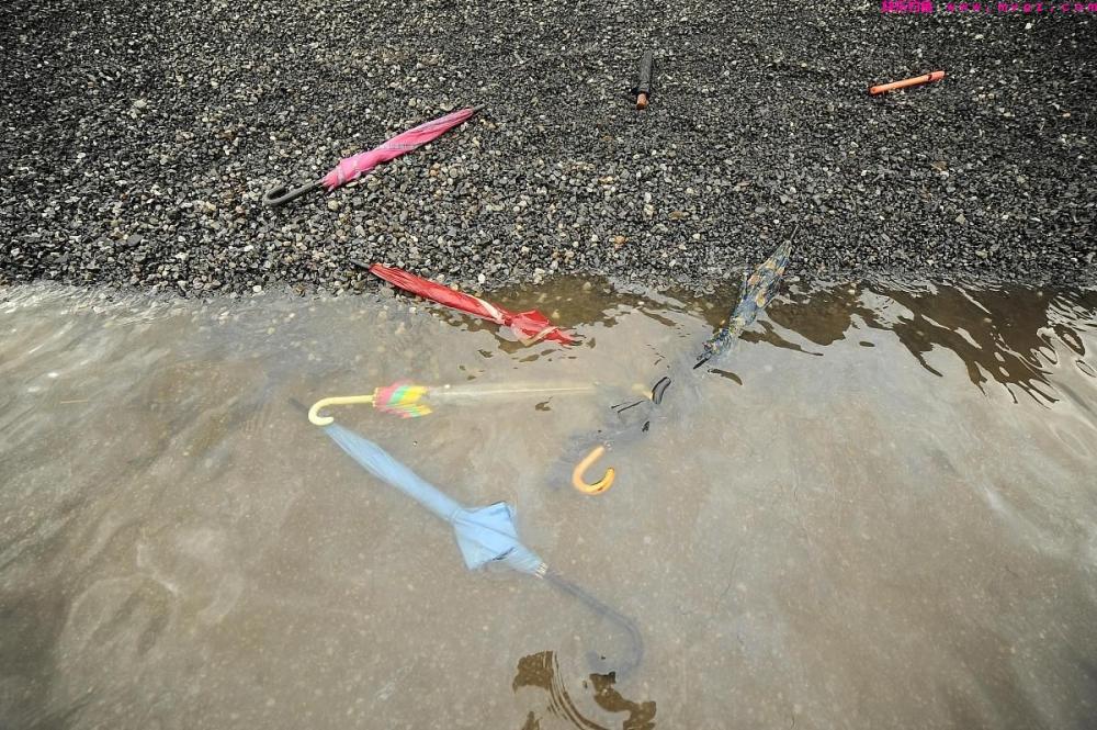 《大草鱼钓鱼攻略：五种饵料让你轻松抓到大