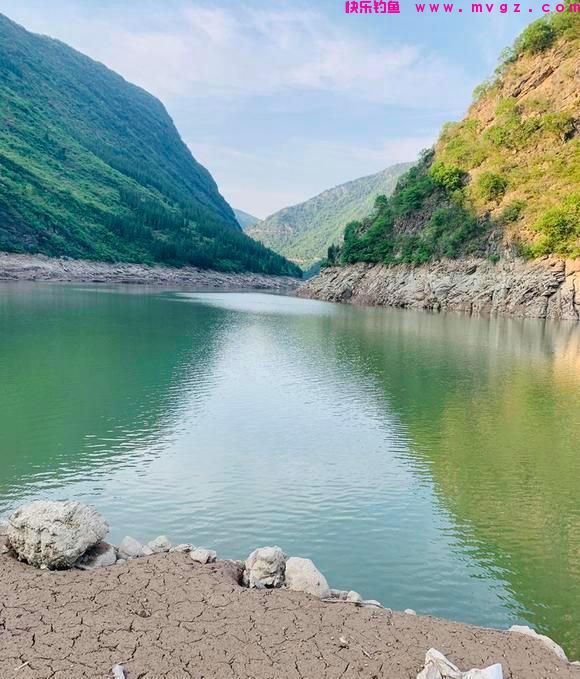 鲤草杂交？男子钓获奇鱼，草鱼身鲤鱼头，男