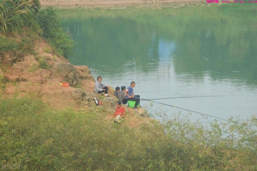 水库钓草鱼用什么方法？