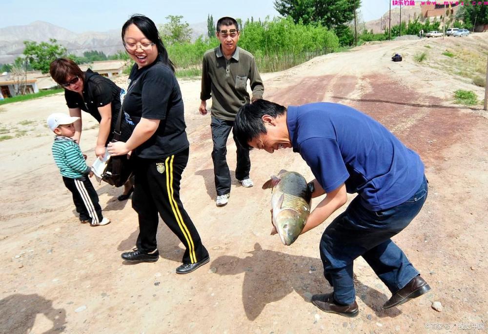 鱼塘里的草鱼为什么总是不上钩？