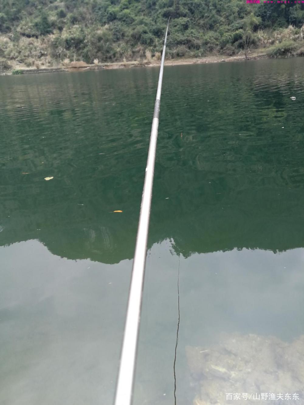 秋末初冬如何钓草鱼？掌握这三个要点，渔获