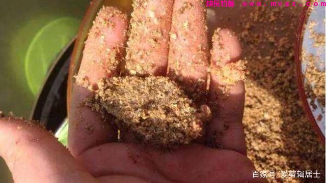 黑坑草鱼作钓思路