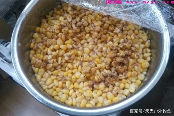 草鱼的三种远投钓法，简单有效，助你连竿大