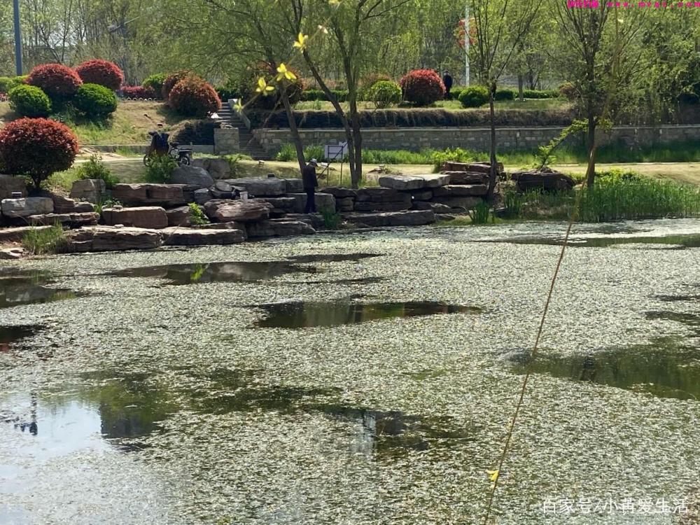 只要记住这些方法，就算你在春季钓草鱼，也