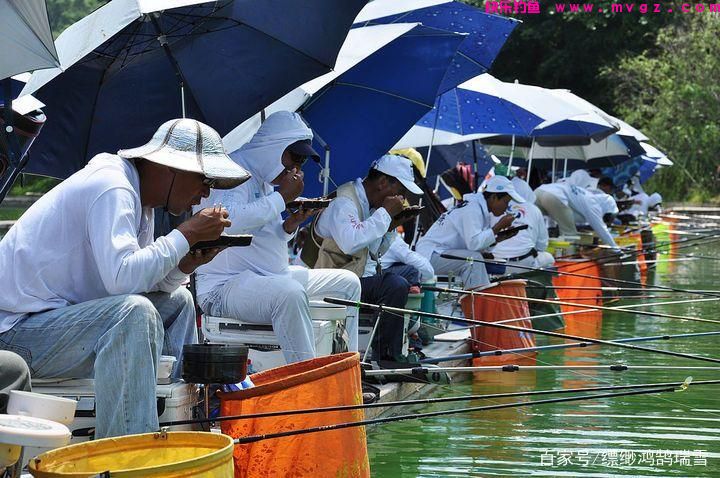 春季想要钓草鱼，只要记住这些小方法，大草