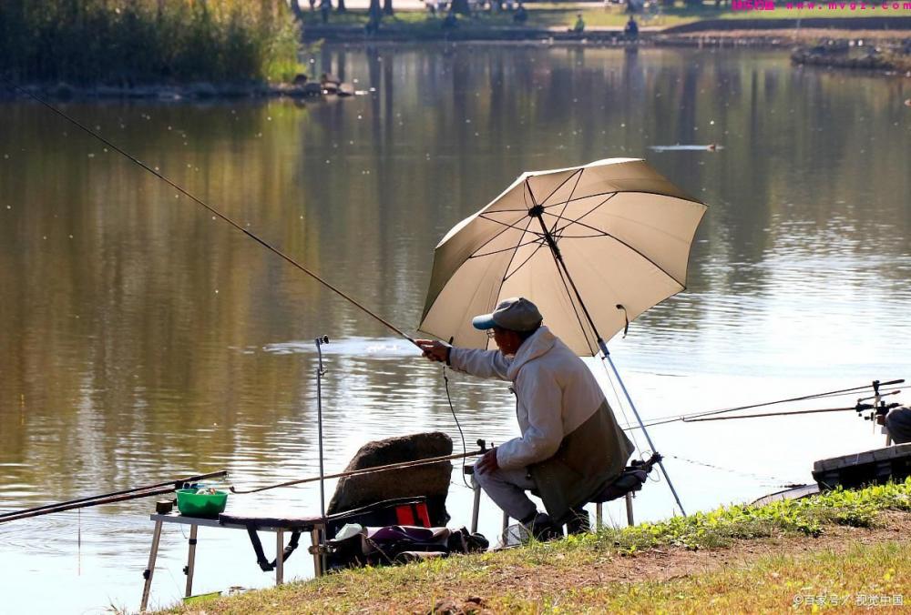 5种钓草鱼的方法，虽然前3种很厉害，但老