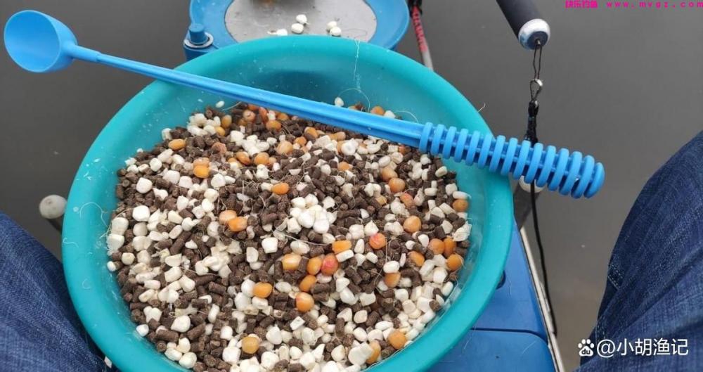 谷雨过后钓鲤鱼，掌握这5个关键点，轻松收