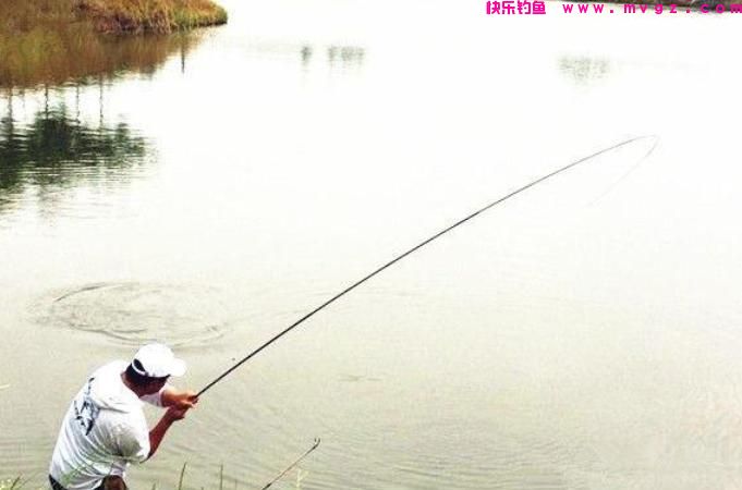 春钓鲤鱼时，这3招不得不知，真的很有效，