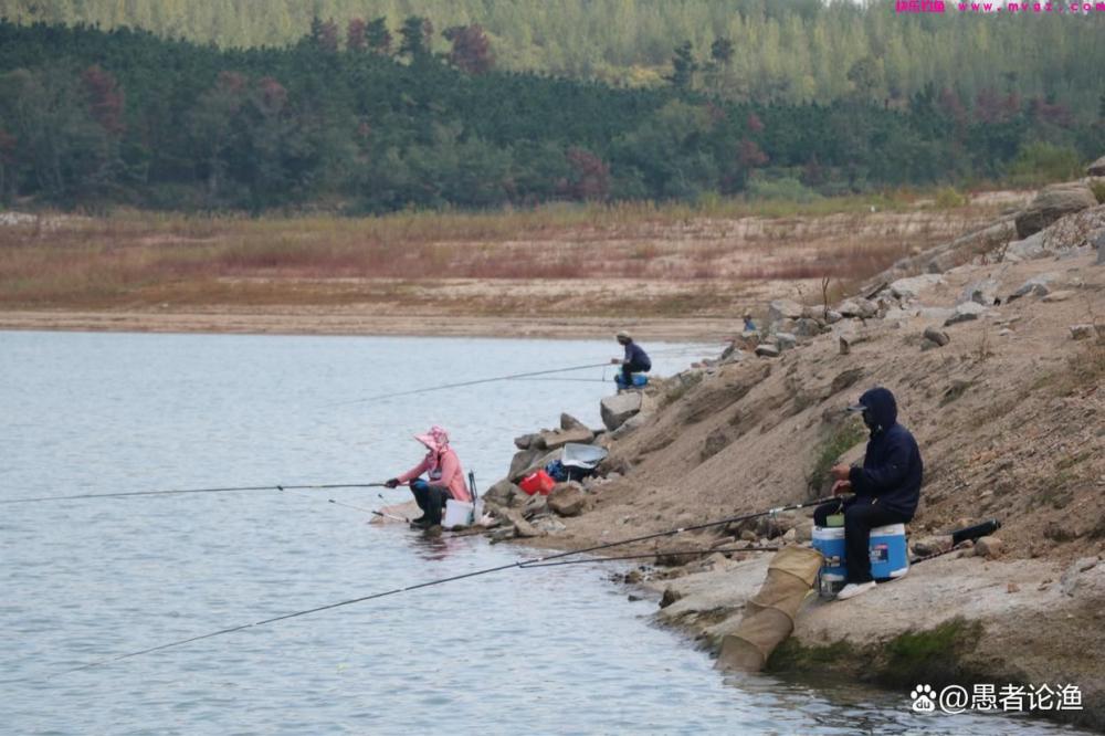春钓鲤鱼和草鱼，满足这三个条件，天气冷点