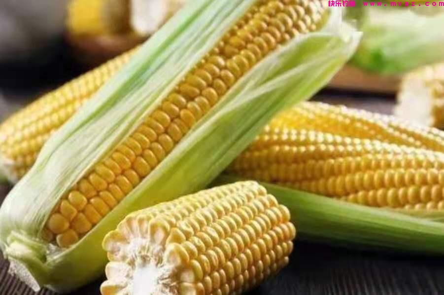 钓技不高别总嫌鲤鱼太“滑头”，按我说的做