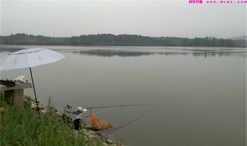 钓鲤鱼谈何容易，学会这“三大调整”也能钓