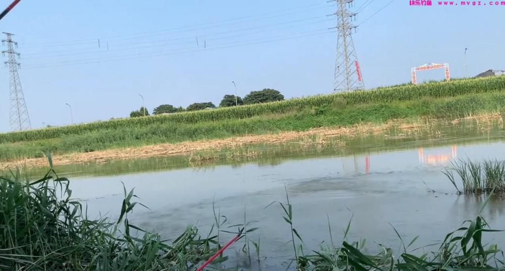 春季钓鲤鱼的钓点选择，垂钓方法以及需要注