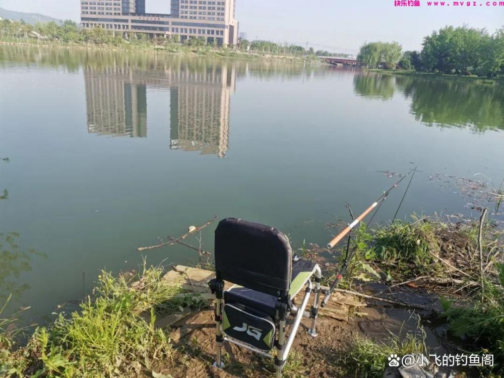 春季钓鲤鱼怎么总空军？恐怕是选错了水深，