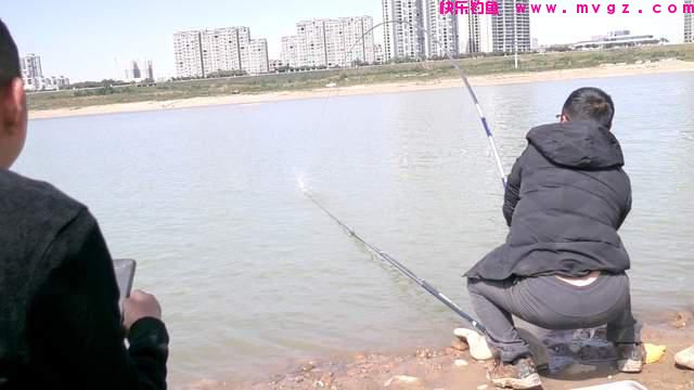 冬季野钓鲤鱼攻略，一条就爆护，得找准地方