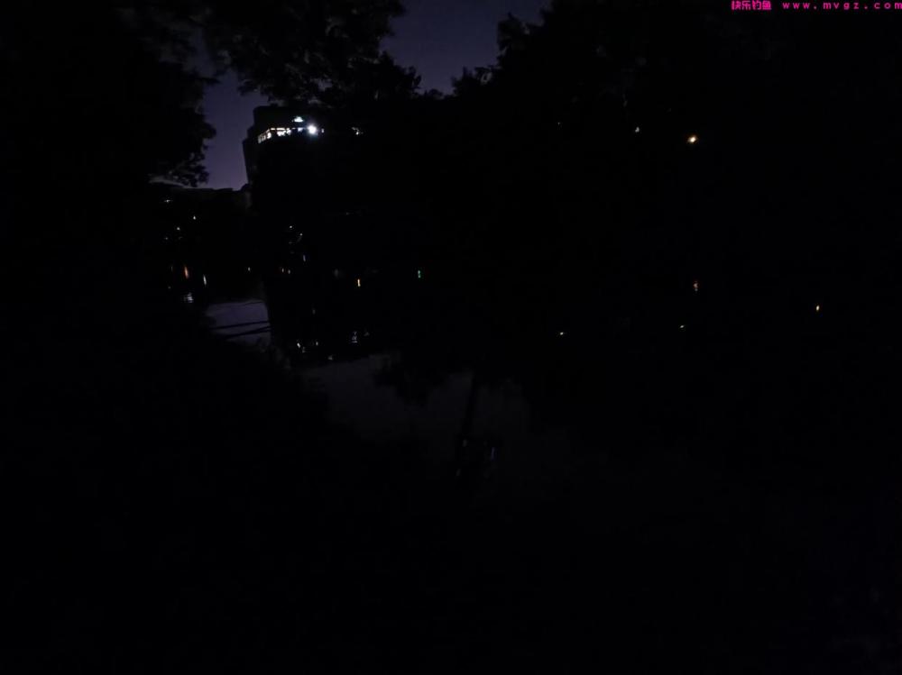 秋季夜钓鲤鱼怎么才好钓，掌握以下几点钓鱼