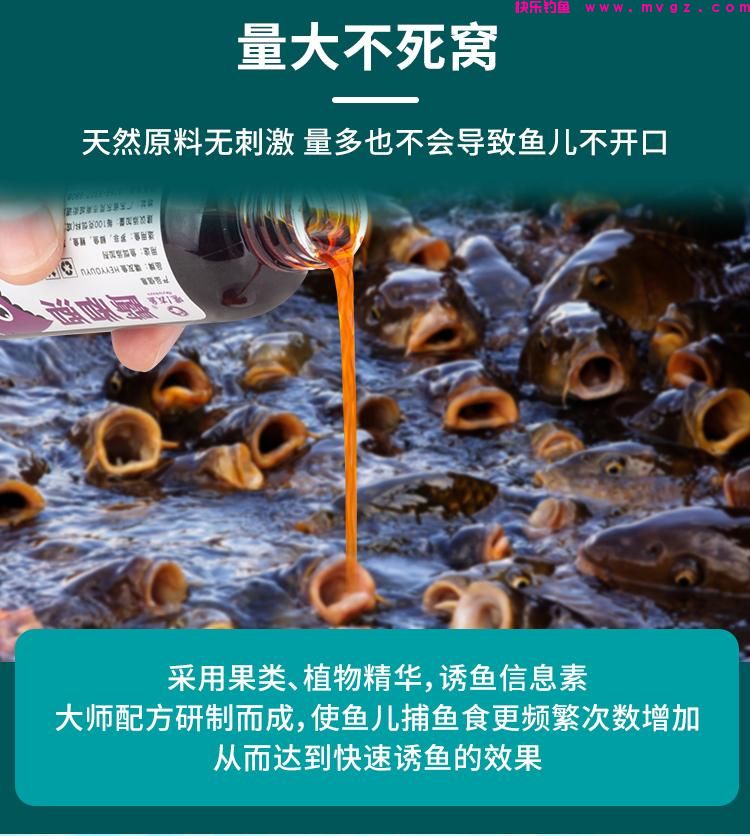 嘿友鱼-麝香酒 钓鲤鱼饵料添加剂