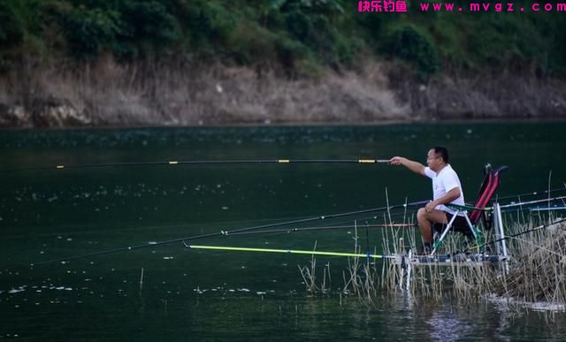 钓鲤鱼怎么选浮漂？