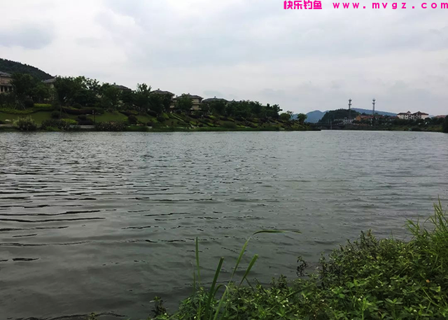 春末钓鲤鱼，钓位选择的必备技巧，做好了才