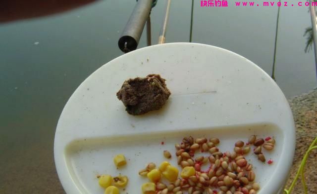 钓鲤鱼用什么饵料最好？（绝杀饵）